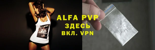 стаф Абаза