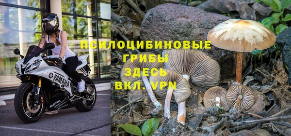 таблы Абинск