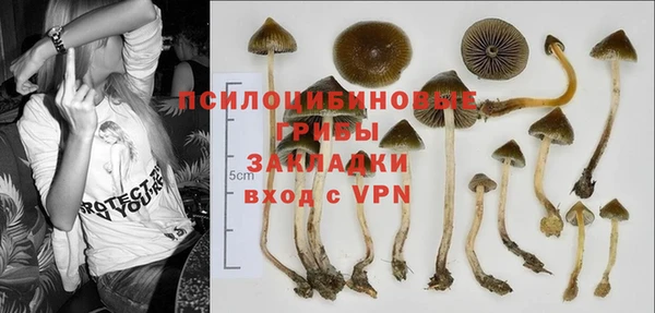 стаф Абаза